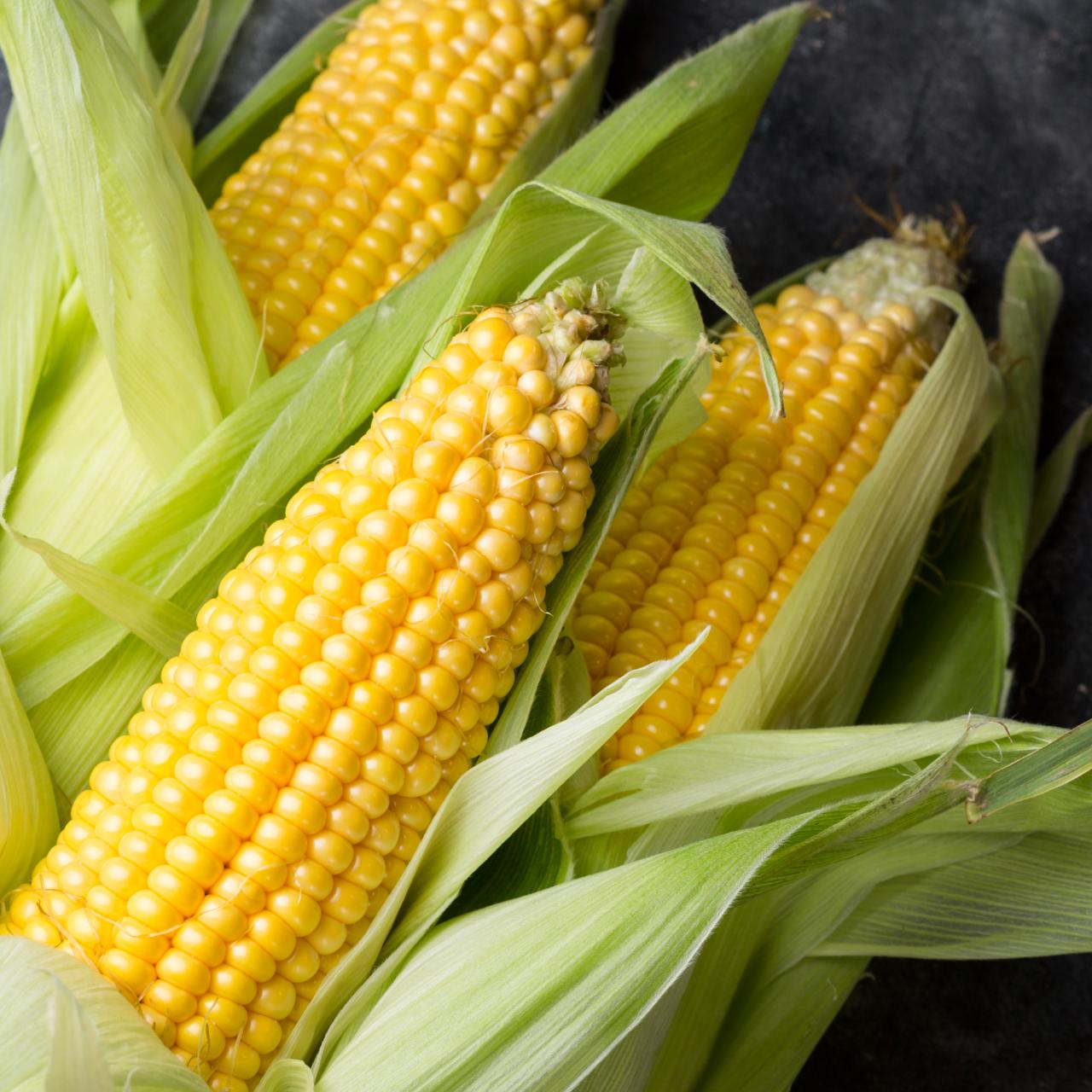 pro_7d9_maize.jpeg