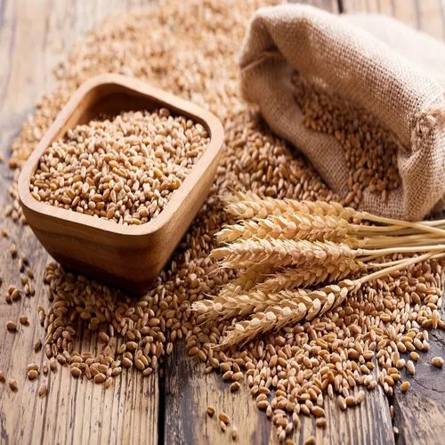 pro_ea5_food-wheat-grains-500x500.webp